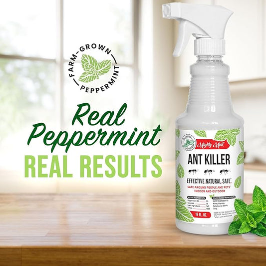 Mighty Mint Peppermint Oil Ant Killer Spray – Natural Ant Repellent for Indoor & Outdoor Use – Plant-Based Insect & Pest Control – 16 oz