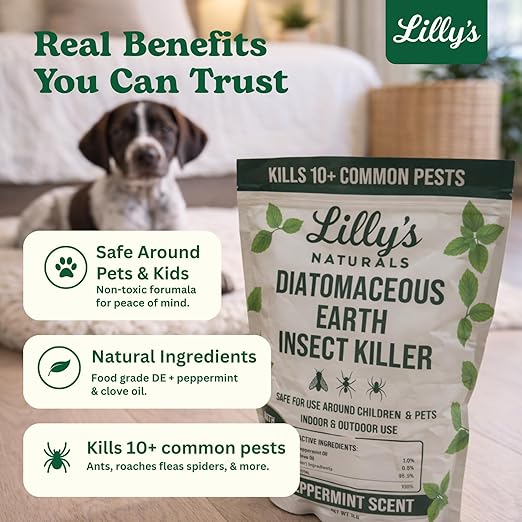Diatomaceous Earth Food Grade with Peppermint Oil Crawling Insect Killer | Indoor Pest Control Powder for Bed Bug, Roach, Ant, Fleas | Lilly's naturals, 1 lb