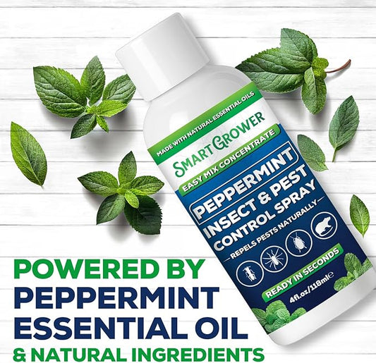Peppermint Insect & Pest Control Best Value Concentrate - Repels Insects & Pests for Home, Indoor, Outdoor, Garden - Maximum Strength Concentrate (Makes Half Gallon RTU) 4 oz