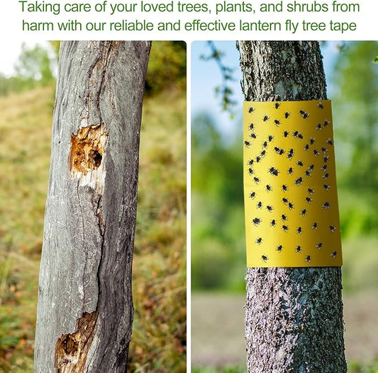 4 Rolls 260ft Lantern Fly Tree Tape Outdoor Adhesive Crawling Insect Trap Yellow Sticky Traps Sticky Barrier Protecting Trees Outdoor Indoor Fruit Tree Lawn Garden Control Aphids Ant Moth
