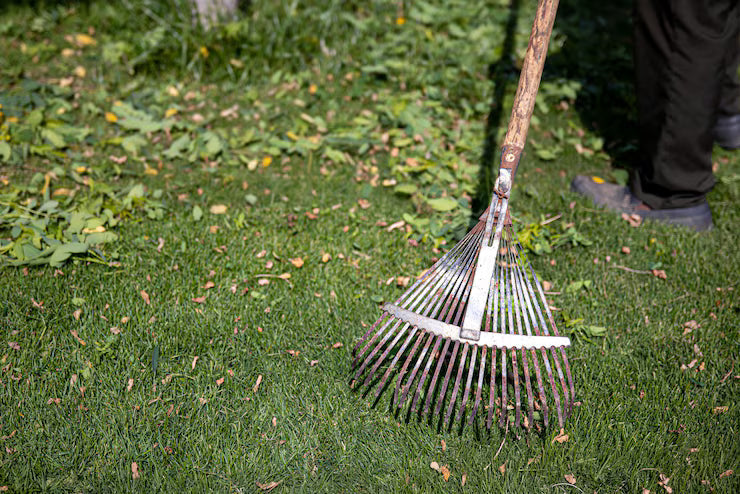 [Spring Guide] The American Dream: Essential Spring Cleanup for a Perfect Lawn