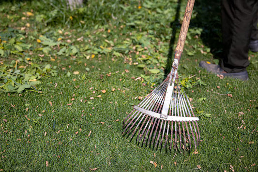 [Spring Guide] The American Dream: Essential Spring Cleanup for a Perfect Lawn
