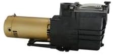 Doheny's Pool Pro Plus In-Ground Swimming Pool Pumps (1 HP)