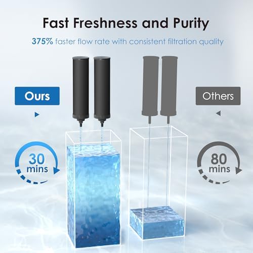 Waterdrop Black Water Filter, Replacement for Berkey® BB9-2®, Purewell® - Image 2