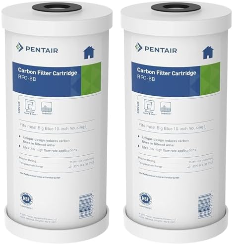 Pentair Pentek RFC-BB Big Blue 10" x 4.5" Carbon Water Filter, Pack of 2 by PENTAIRPENTEK