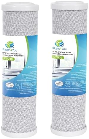 CFS Carbon Block Water Filters for Hoshizaki CTO-10H, HDI-11, 2 Pack by CompleteFiltrationServices