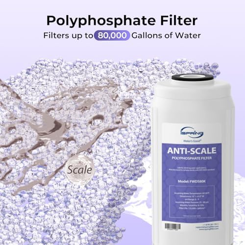 iSpring F2WGB21BDS 2-Stage Whole House Water Filter Set for WGB21B-DS - Image 3