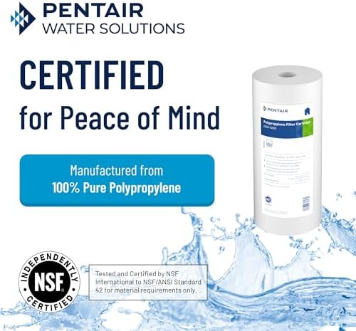 Pentair Pentek DGD-5005 Big Blue Whole House Sediment Filter - Image 3