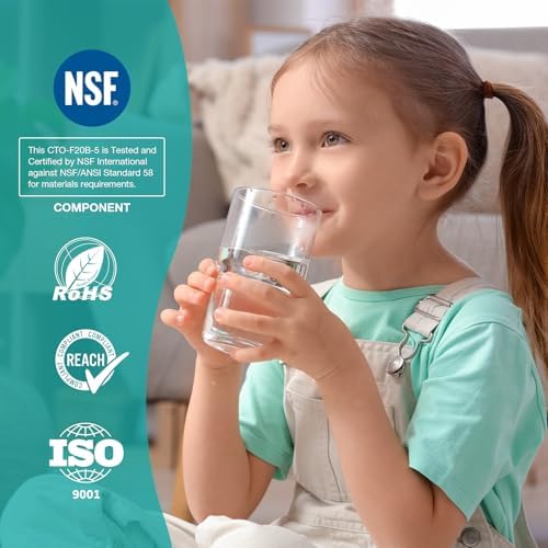 SimPure 5 Micron 20" x 4.5" CTO Carbon Whole House Water Filter Cartridge - Image 5