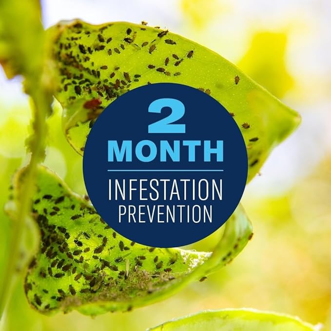 BioAdvanced Fruit, Citrus & Vegetable Insect Control for Edible Gardening, 32 oz