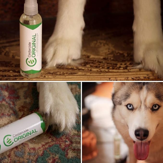 Cedarcide Original Bug Spray | Repel & Kill Fleas, Ticks, Mosquitoes, Mites, Ants & Chiggers | for use on People, Pets & Home | Natural Cedar Oil | Large Size Kit