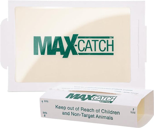 Catchmaster Max-Catch Mouse & Insect Glue Trap 72pk, Mouse Traps Indoor for Home, Sticky Pest Control Adhesive Tray for Catching Bugs, Bulk Classic Glue Boards