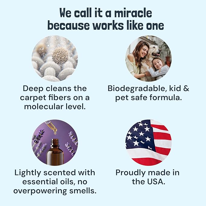 Sunny & Honey Carpet Cleaner Solution - Deep Stain Remover & Odor Deodorizer - Pet Carpet Cleaner & Rug Shampoo (32 Fl Oz, Light Lavender)