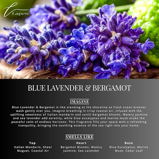 Lapew Blue Lavender & Bergamot Scented Cleaning Bundle | Carpet Deodorizer Powder (16 oz) & Mop Soap Concentrate (36 oz) | Pet-Friendly Odor Eliminator