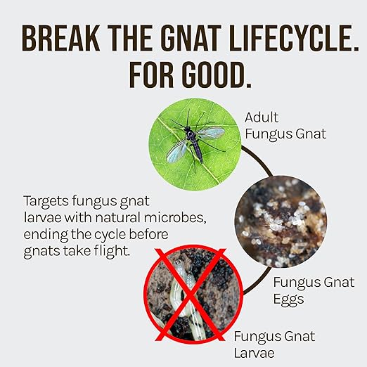 Microbe-Life Hydroponics FGX Fungus Gnat Killer, Natural BTi Pest Control for Plants, Indoor Plant Pest Control to Get Rid of Gnats in Houseplants, Safe for Pets & People, 1 Gallon