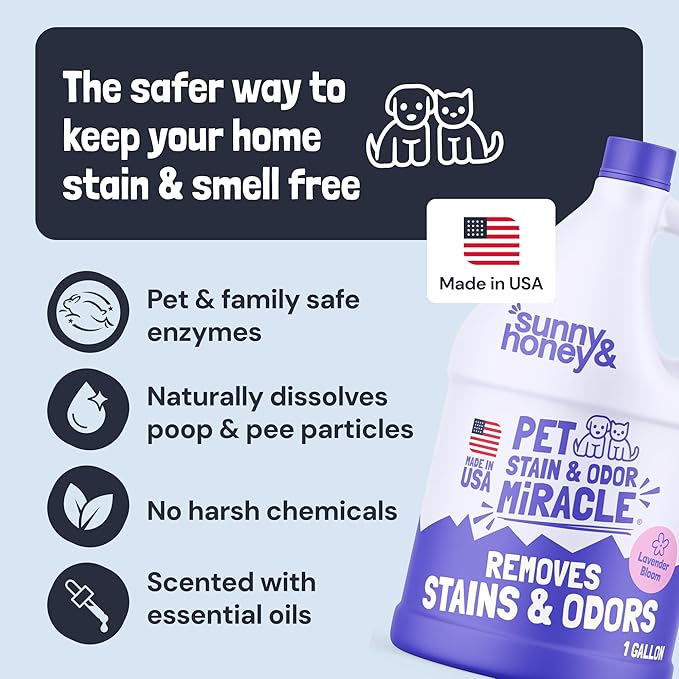 Sunny & Honey Pet Stain and Odor Remover - Enzyme Cleaner for Dog Urine and Poop on Carpets and Furniture - Strong Pet Carpet Cleaner Spray (1 Gallon Lavender)