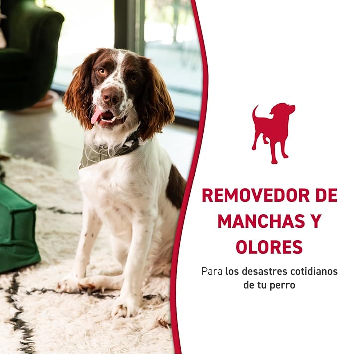 Nature’s Miracle® Stain & Odor Remover, Tough on Dog Urine, Feces, Vomit, Drool and Other Organic Stains and Odors, 1 Gallon