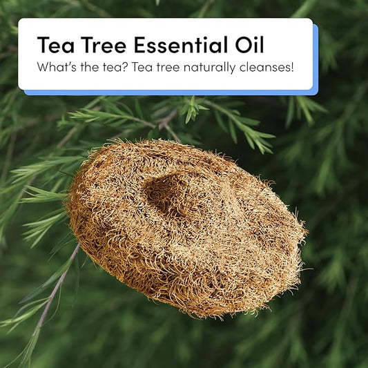 TUSHY Tea Tree Coconut Husk Scrubbing Pads, 16 Pack | Planet Friendly Cleanser-Infused Pads, No Toilet Bowl Cleaner Needed | TUSHY Toilet Brush 2.0 Refills