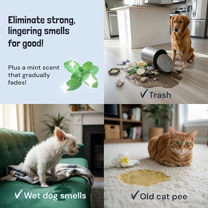 Sunny & Honey Pet Stain and Odor Remover - Enzyme Cleaner for Dog Urine and Poop on Carpets and Furniture - Strong Pet Carpet Cleaner Spray (32fl oz Mint)