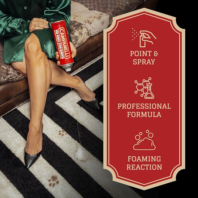 Campanelli Pro Series Stain Remover Point & Spray Carpet & Upholstery Cleaner for Pet Stains & Odors, Food Stains, Wine, Coffee, Dirt and More! – 18oz Aerosol