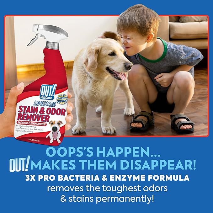 OUT! PetCare Pet Odor & Stain Remover Spray, Carpet & Floor Cleaner, Deodorizer for Dogs & Cats, Made in USA, 32 fl oz (2 Pack)