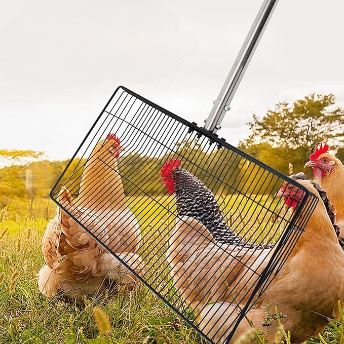 Large Chicken Poop Scooper, Adjustable Long Handle Stainless Steel Chicken Coop Cleaning Tool with Telescopic Push Lock & Non Stick Surface for Cat Litter Sifting Shovel