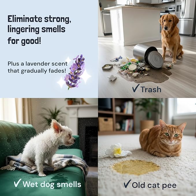 Sunny & Honey Pet Stain and Odor Remover - Enzyme Cleaner for Dog Urine and Poop on Carpets and Furniture - Strong Pet Carpet Cleaner Spray (1 Gallon Lavender)