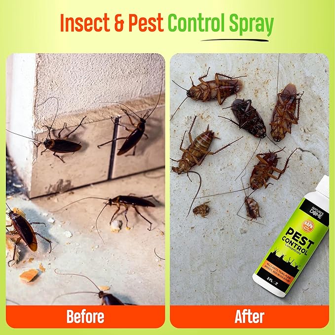 Nature’s Dome Pest Control Concentrate Spray 2 Oz (Pack of 2) | 100% Natural, Eco-Friendly Bug & Ant Spray – Each Bottle Makes 16 Oz | Bug Spray for Fleas, Ticks & Mosquitoes | Safe for Pets & Kids