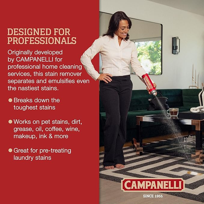 Campanelli Pro Series Stain Remover Point & Spray Carpet & Upholstery Cleaner for Pet Stains & Odors, Food Stains, Wine, Coffee, Dirt and More! – 18oz Aerosol