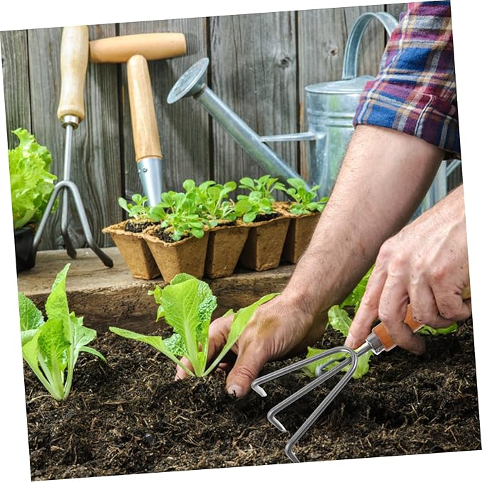 BESPORTBLE 1 Set Gardening Tools Ergonomic Handle Shovel and Rake for Easy Weeding and Soil Removal with Wide Shovel Harrow and Hoe for Vegetable Gardens and Flower Beds