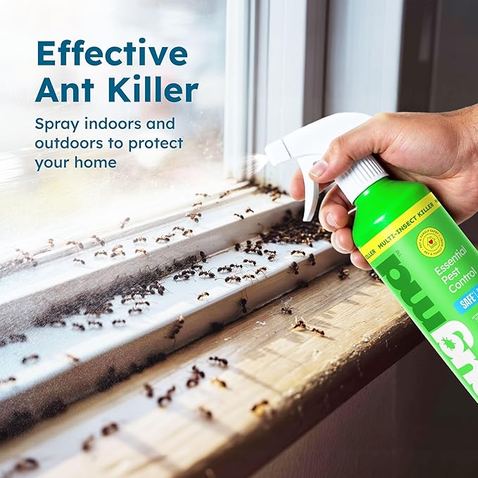 BugMD Ant Spray ?€? Insect & Pest Spray Indoor Safe for Pets, Roach & Spider Killer, Plant-Based Insect Repellent for Home, Flea & Fly Sprayer with Clove Oil, Plant-Based Essential Oil Formula 32 fl oz