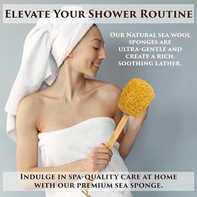 The Grecian Soap Company Natural Sponge on a Stick - Sea Wool
