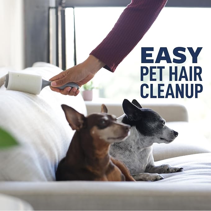Scotch-Brite Everyday Clean Lint Roller, 140 Sheets Total,2 Packs | Lint Remover for Pet Hair, Dark Clothes, Furniture and Dusty Surfaces, Picks Up Fur & Fluff in Your Home, Car, & Office - Image 3