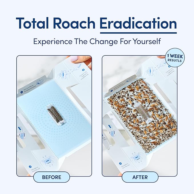 Shieldeck Roach Traps Indoor (24 Pack) – Non-Toxic Sticky Glue Traps for Roaches, Spiders & Crickets – Safe Roach Catcher for Home, Car, Apartment & Motel Pest Control