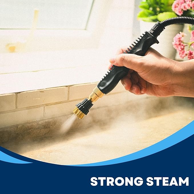 Generic High Temperature Pressurized Steam Cleaner, 2500W Handheld Small High Pressure High Heat Steam Cleaning Machine Portable Tank for Kitchen, Toilet, Car, Auto, standard, NK-882
