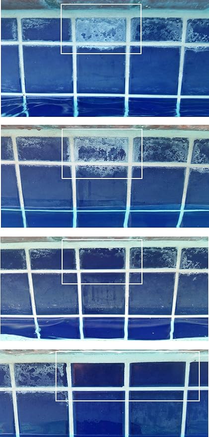 Pool & Tile Cleaner, Guardian (1 gal) - Removes Scale & Scum Line, Non-abrasive, Pumice Stone Not Req'd PLUS Filter Cleaner (1 qt) - 2pk.