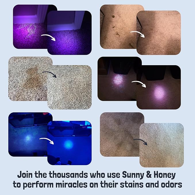 Sunny & Honey Pet Stain and Odor Remover - Enzyme Cleaner for Dog Urine and Poop on Carpets and Furniture - Strong Pet Carpet Cleaner Spray (1 Gallon Lavender)