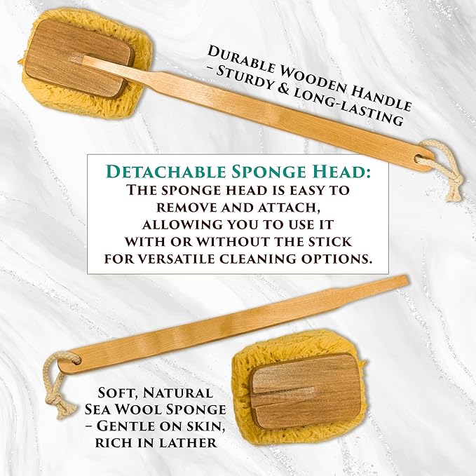 The Grecian Soap Company Natural Sponge on a Stick - Sea Wool