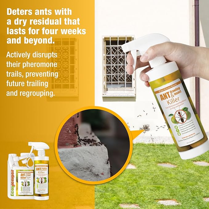 EcoVenger Ant Killer & Crawling Insect Killer (Citrus Scent) 16 oz, Kills Fast in Minutes, Also Kills Spiders, Centipedes & More, Repels with Residual, Natural & Non-Toxic, Safe for Children & Pets