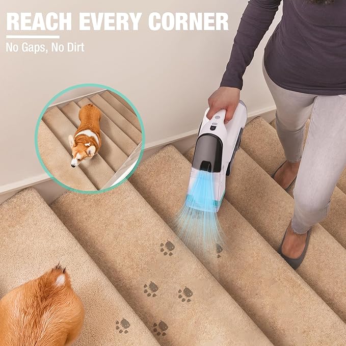 HAUSHOF Handheld Carpet Cleaner, 12V Cordless Portable Carpet Cleaner, 6.5KPa Spot Cleaner with 2 Water Tanks, Type-C Charge, Spot & Stain Cleaner, Handheld Upholstery Cleaner for Stairs, Car