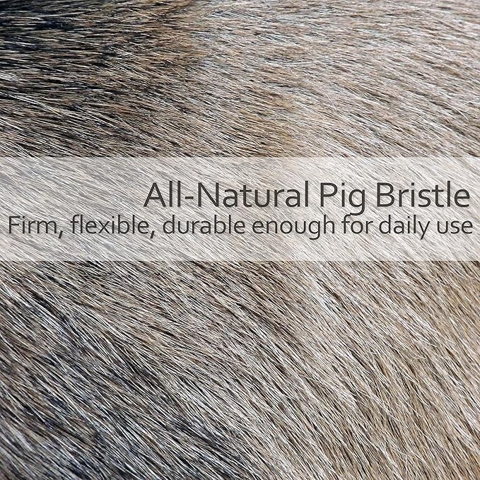 Redecker Natural Pig Bristle Radiator Brush with Oiled Beechwood Handle, 18-1/2-Inches